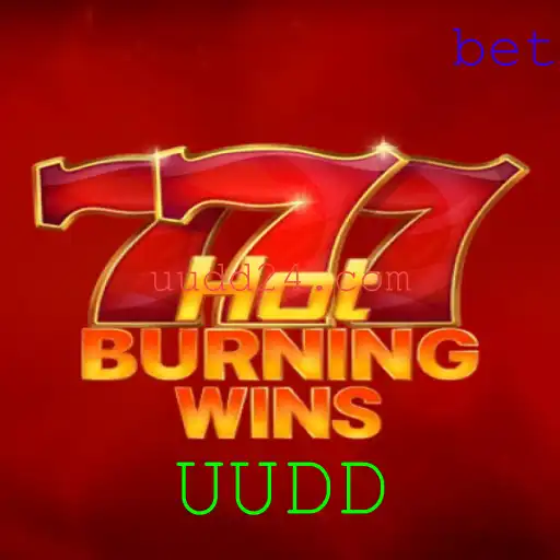 Explorando o Mundo de HotBurningWins: Um Guia Completo e Atualizado